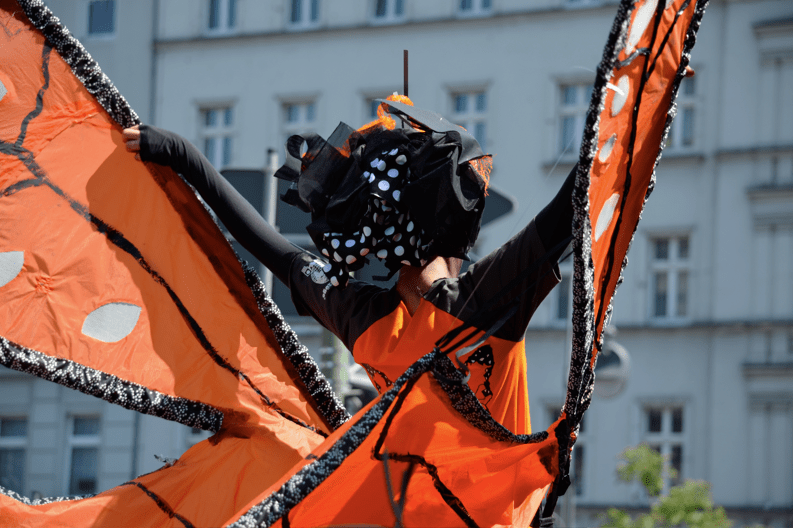 Karneval der Kulturen 2013