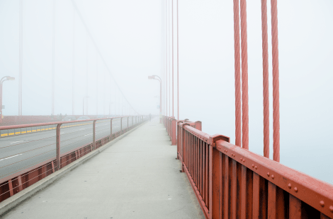 Suspended in the mist.