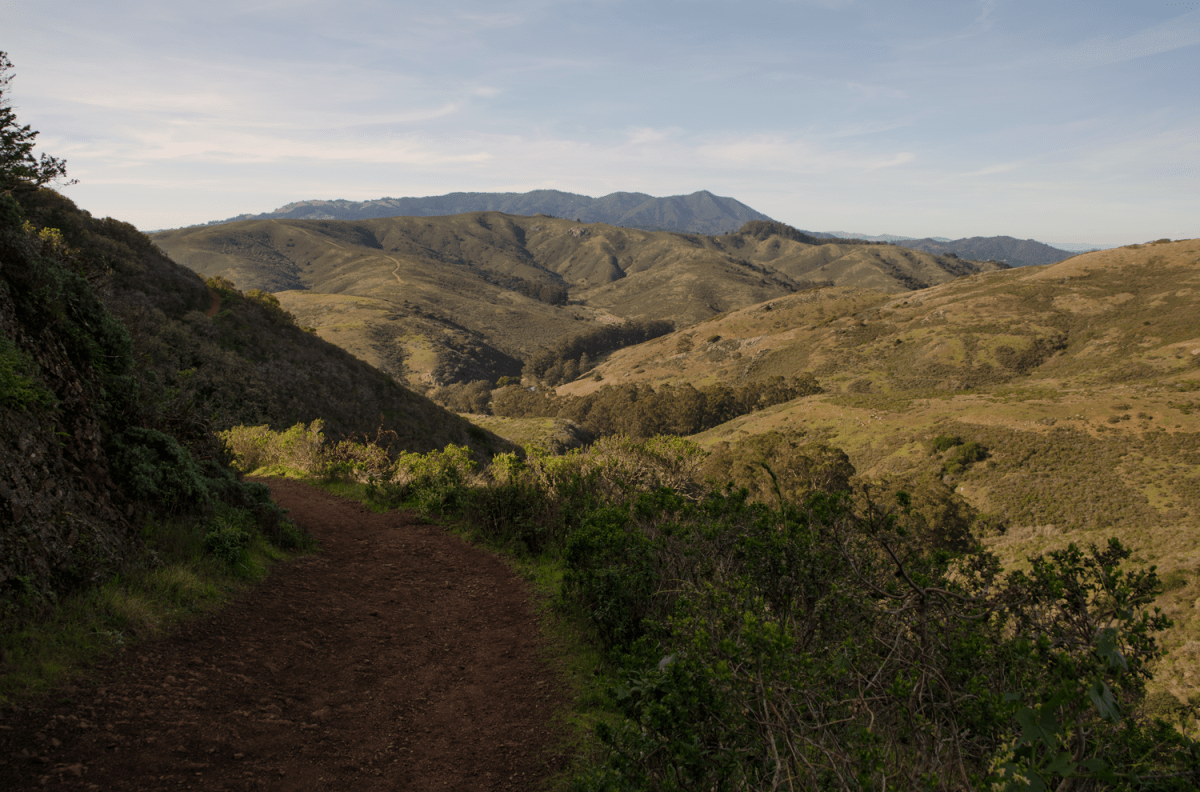 Over the hills and far away