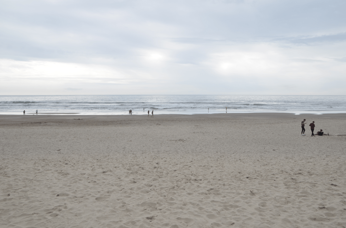 Post-surf beach meander