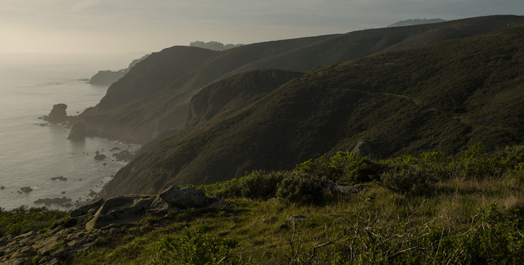 Coast hike to Muir Beach