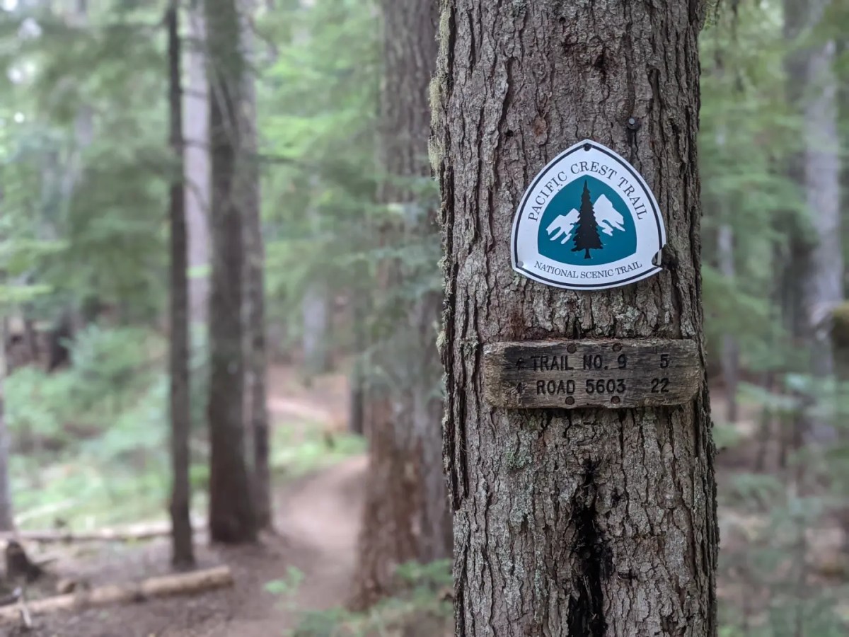 Pacific Crest Trail. Copyright: Caitlin Hardee
